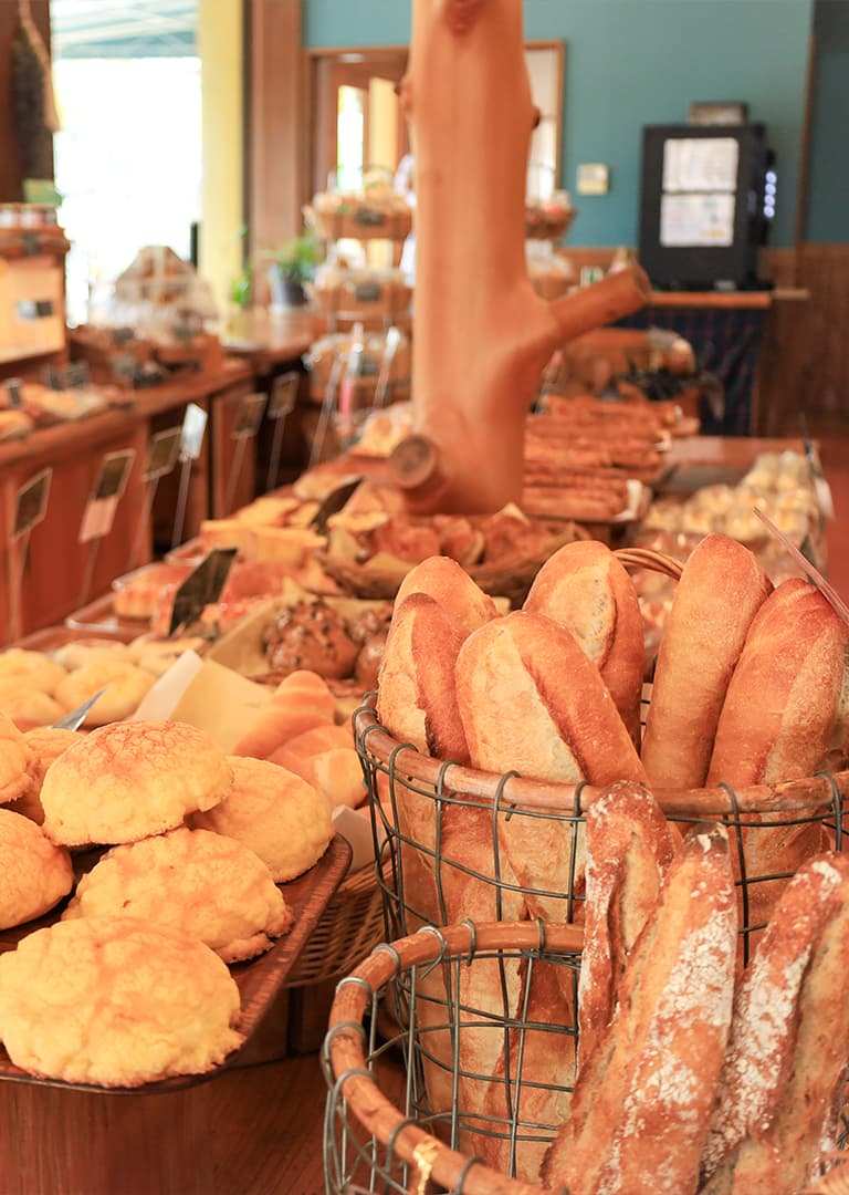 メインビジュアル6