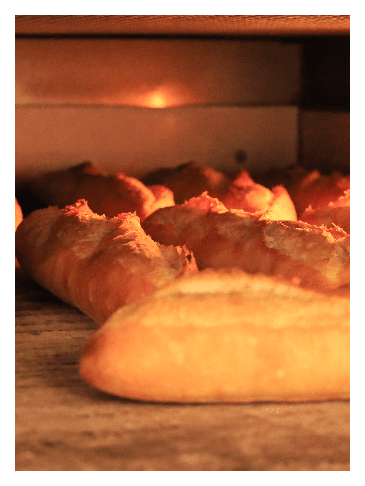 メインビジュアル1