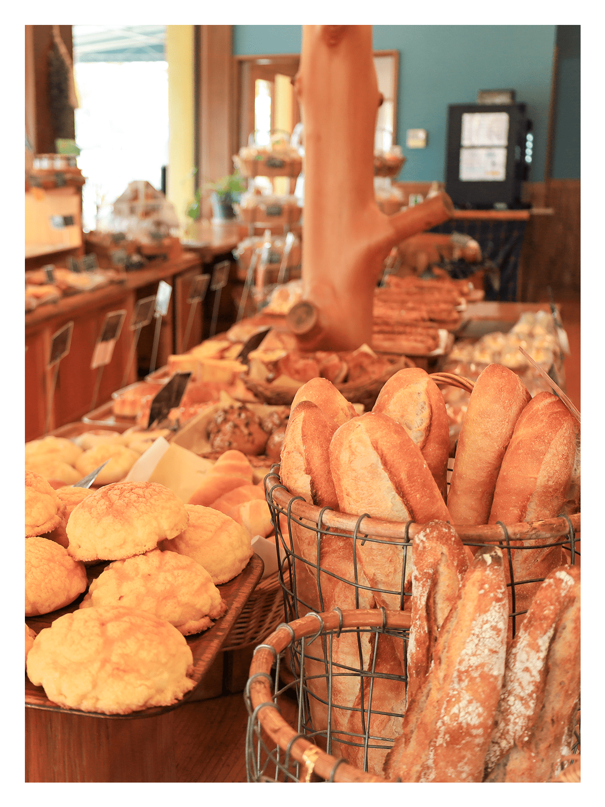 メインビジュアル6